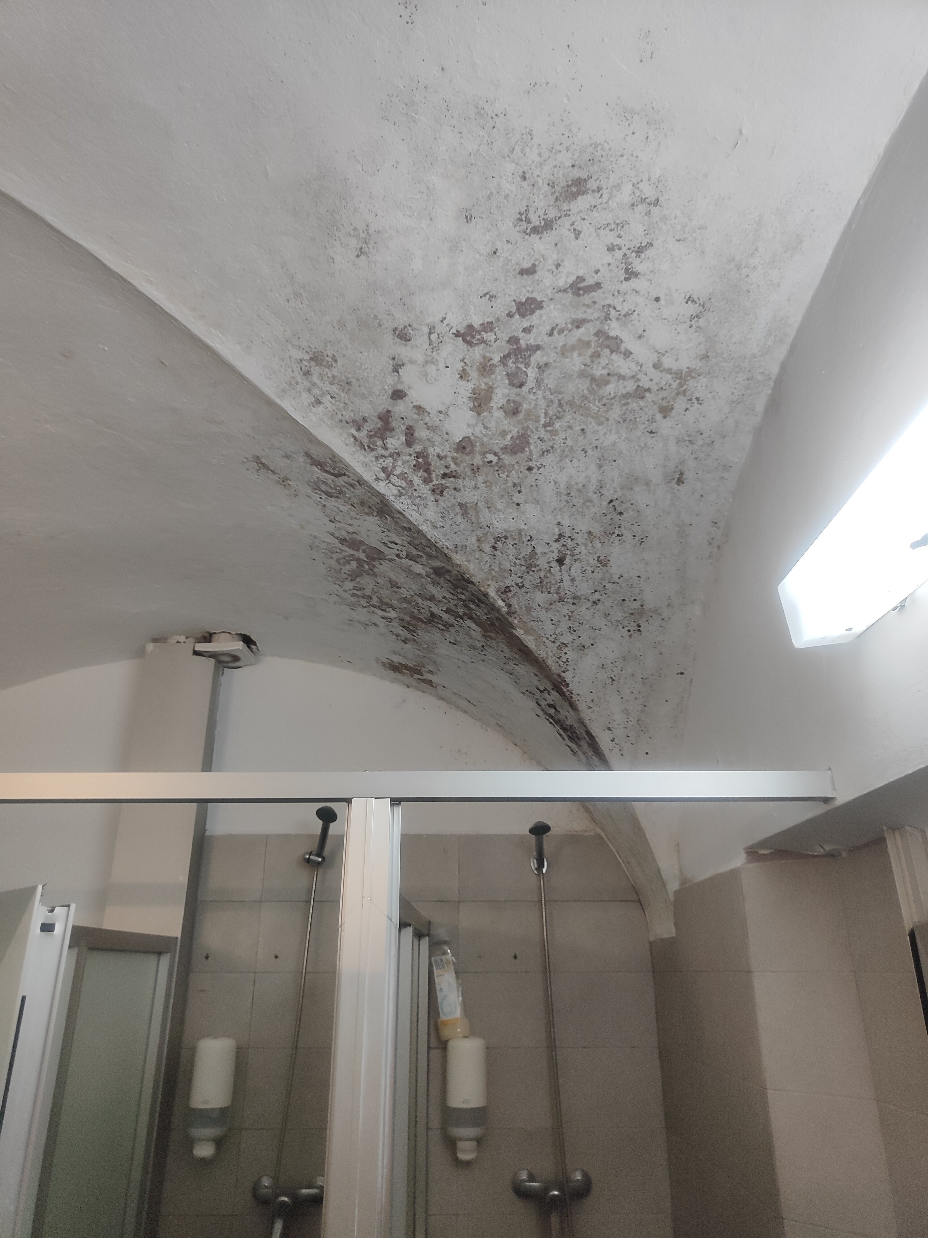 Albergue las Veletas-浴室