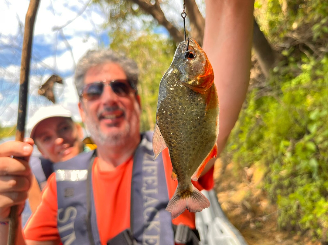 Jungle Experiences-伊基托斯必去景点