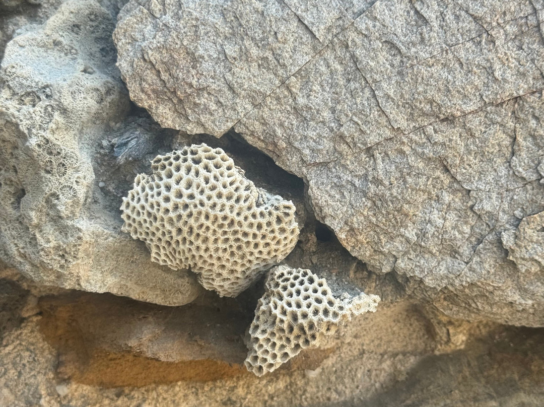 Old Ai Pelo Prison-Liquica必去景点