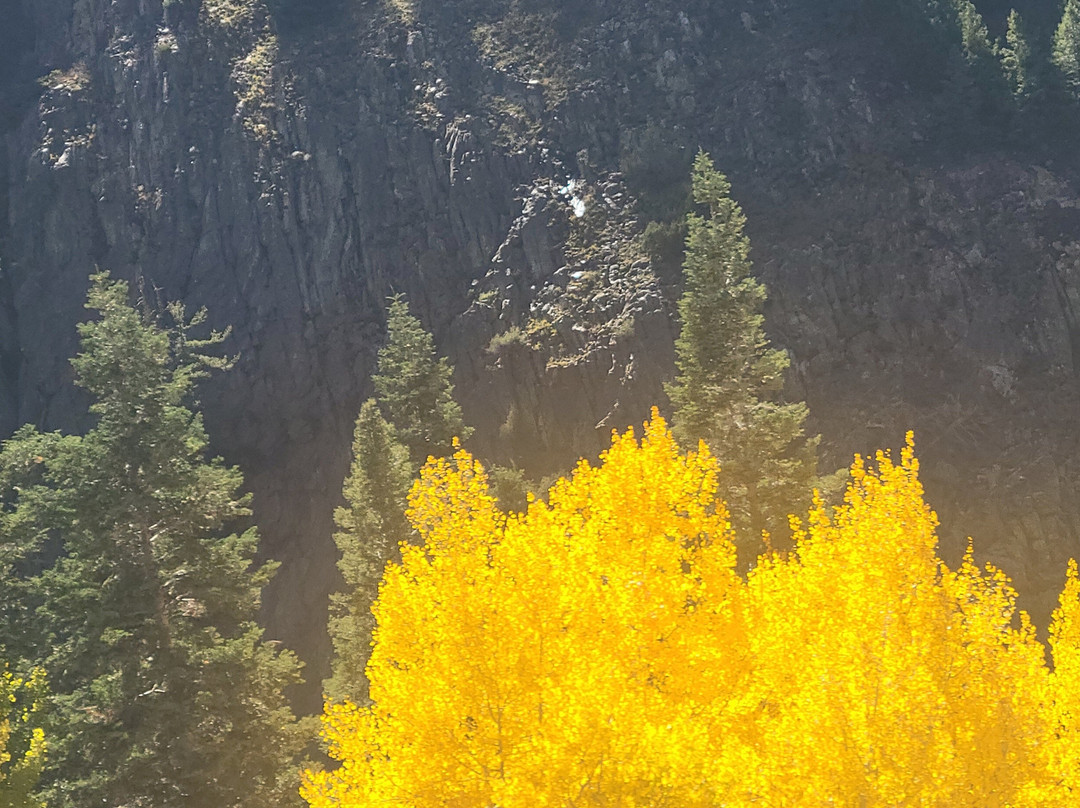 Best Western Plus Rio Grande Inn主图