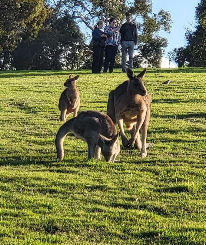 Westerfolds park-Templestowe必去景点