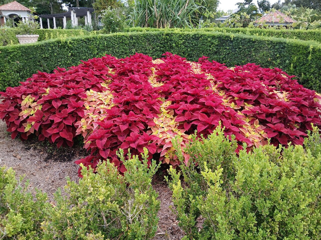 Hollis Garden-莱克兰必去景点