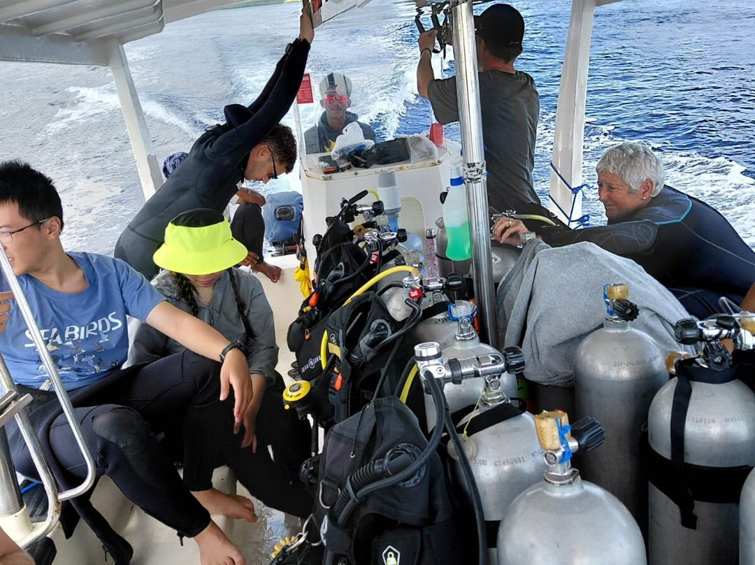 Reeflex Divers Penida-珀尼达岛必去景点