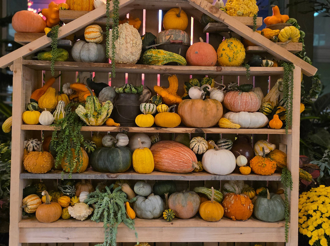 Royal Botanical Gardens-伯灵顿必去景点