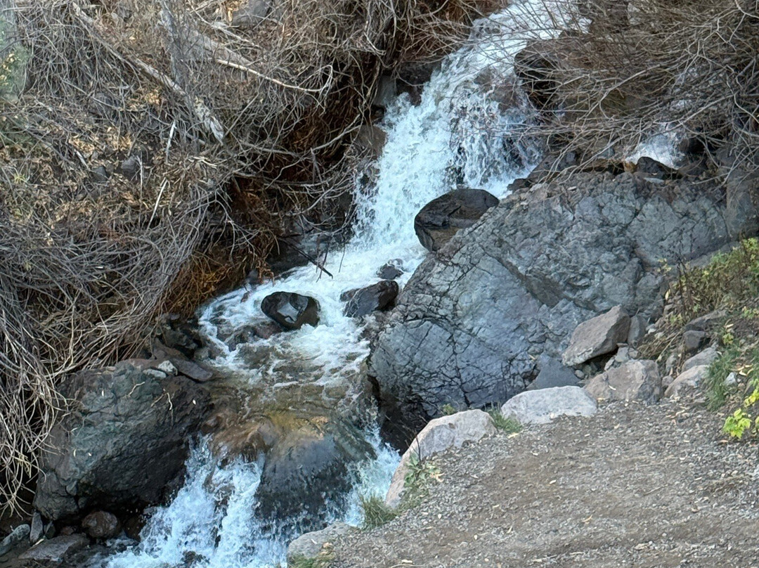 Treasure Falls-帕戈萨斯普林斯必去景点