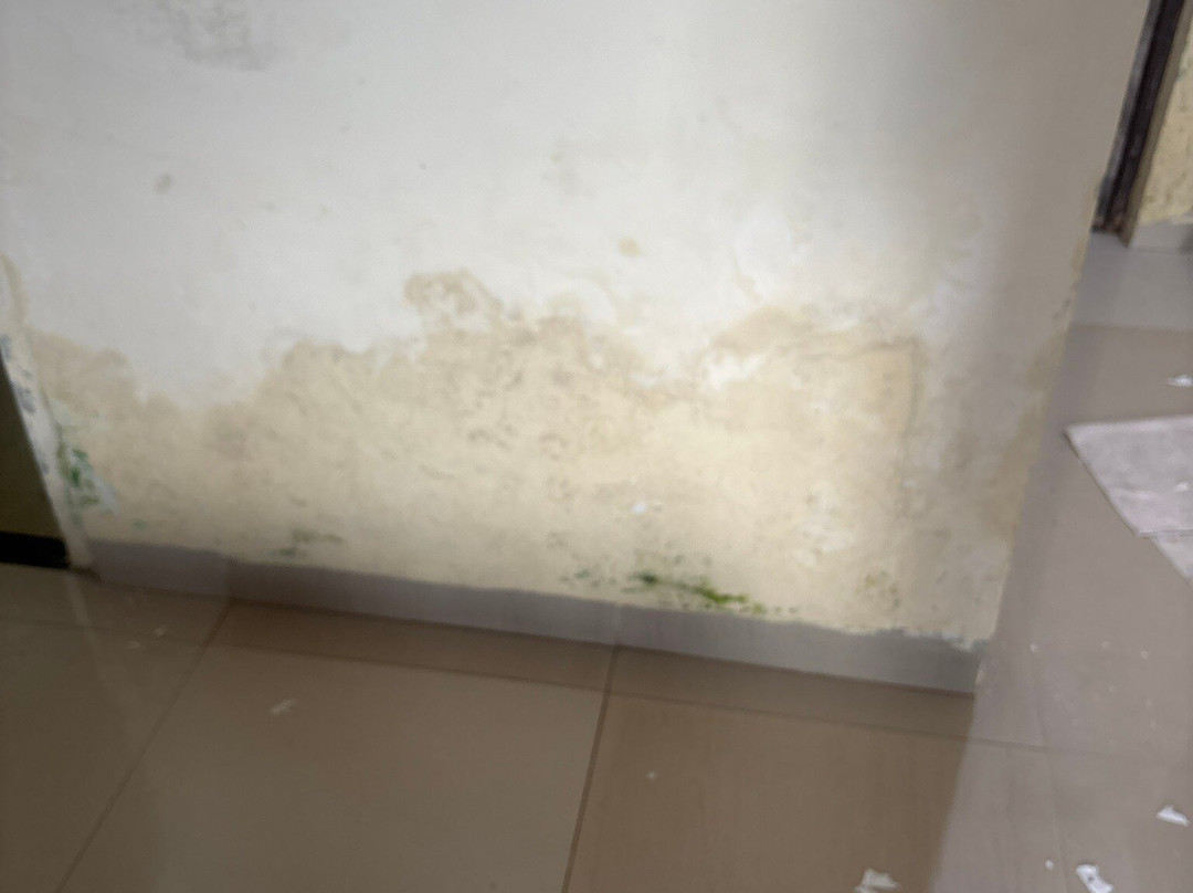 MTDC Malshej Ghat主图