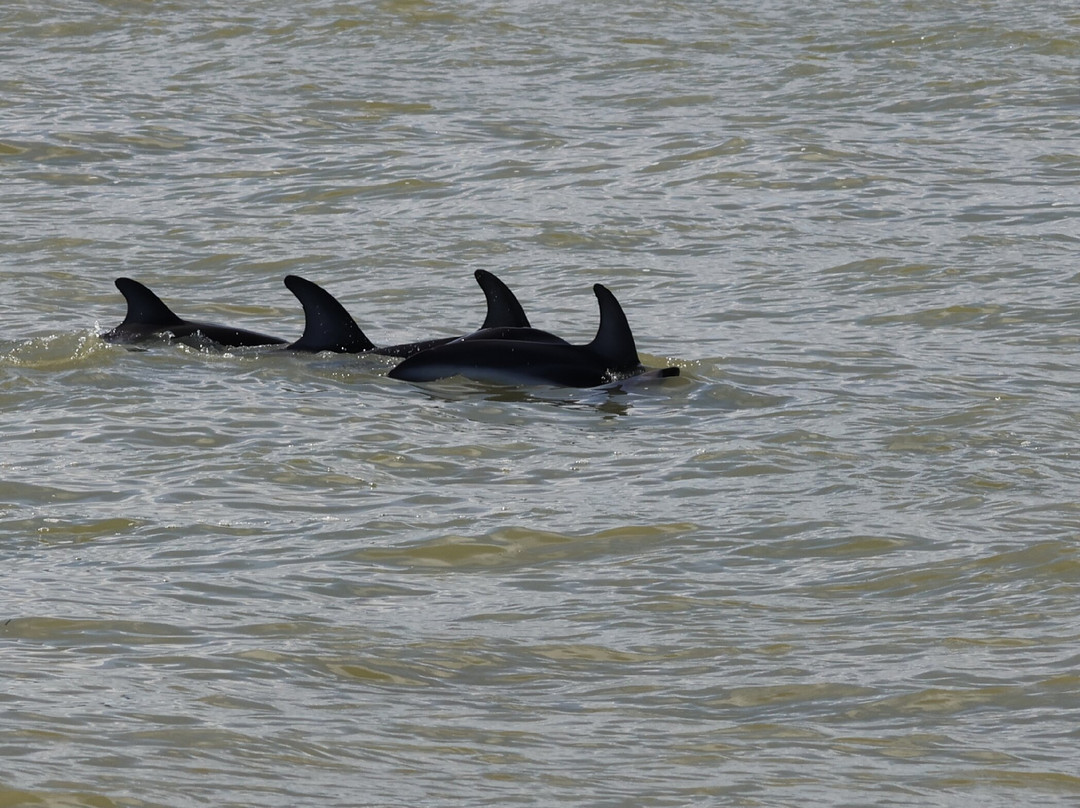 Split Apple Rock Cruise-凯特里特里必去景点