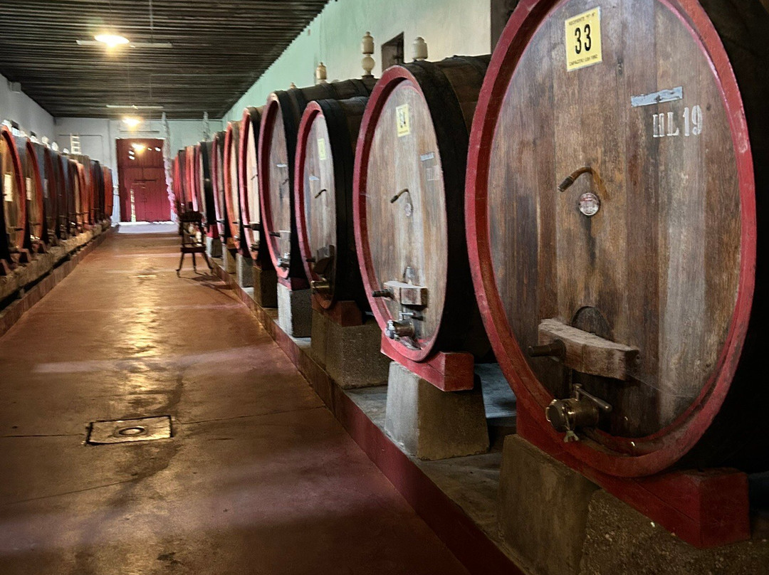 Azienda Agricola Rechsteiner-奥德尔佐必去景点
