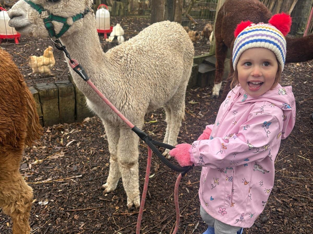 Nanny Sharon's Alpaca Farm C.I.C-Prenton必去景点