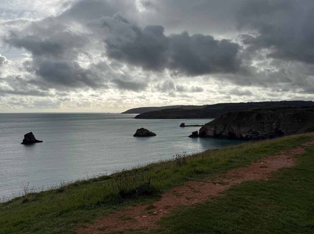 Berry Head Visitor Centre-布里克瑟姆必去景点