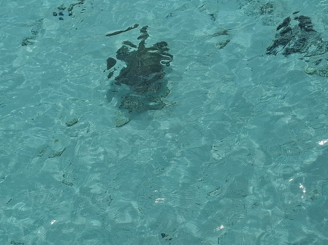 Gadifuri - Kedhigandu Causeway-Gadifuri必去景点