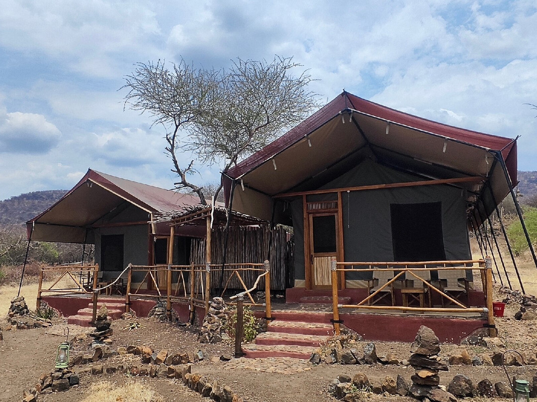 Komba Tanzania Safari-阿鲁沙必去景点