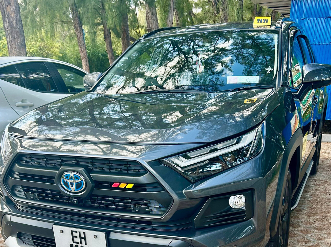 Mauritius Private Transfers & Tours Taxi” et “Guided Tours