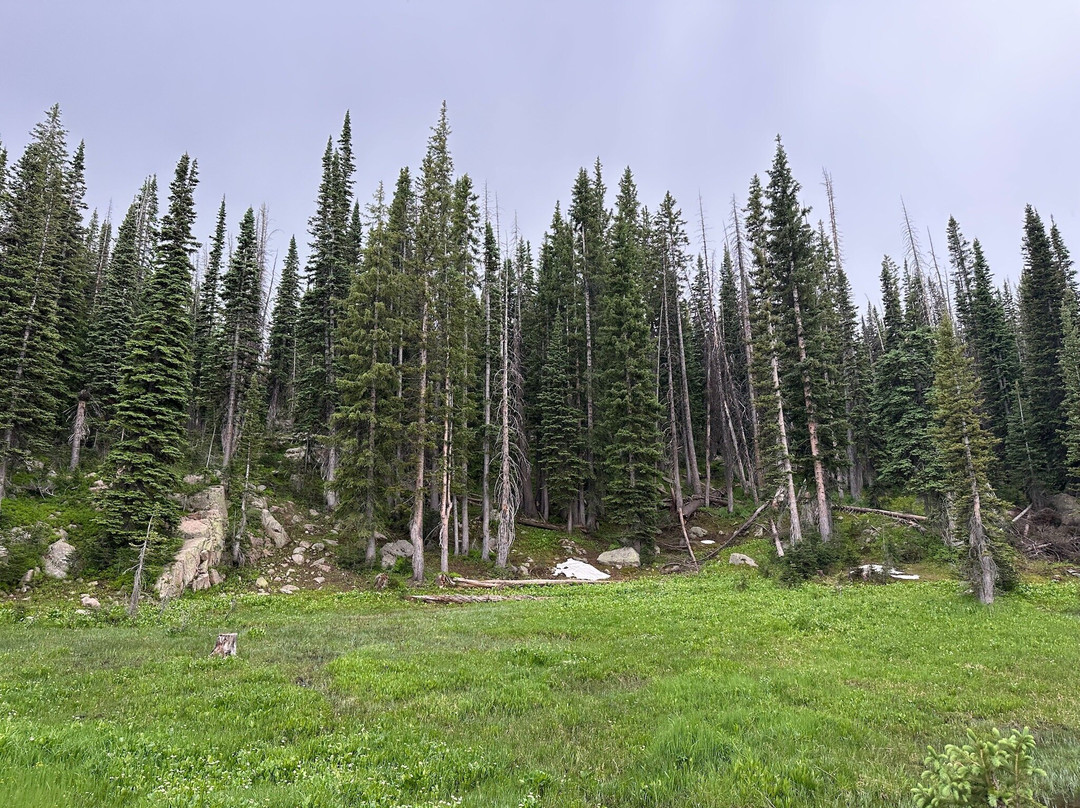 Mount Zirkel Wilderness Area-斯廷博特斯普林斯必去景点