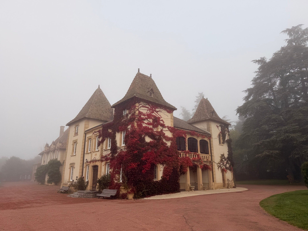 Domaine des Grands Cedres主图