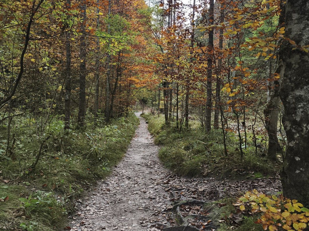 Hotel Waidringer Hof 4-Sterne-Superior - 1. Tiroler Gluckshotel主图