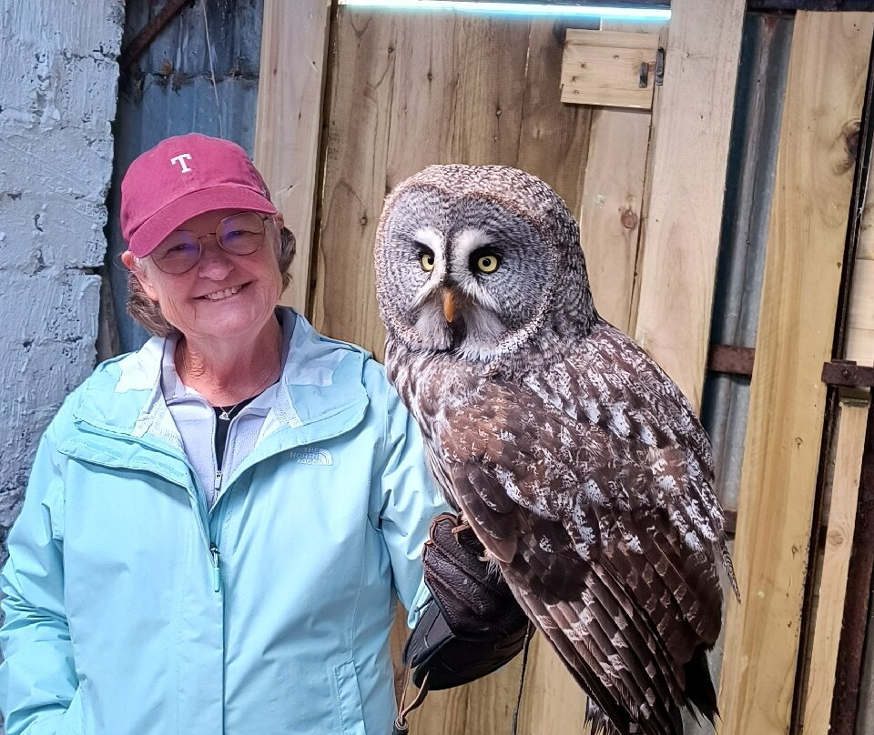 Falconry Kerry-基拉尼必去景点