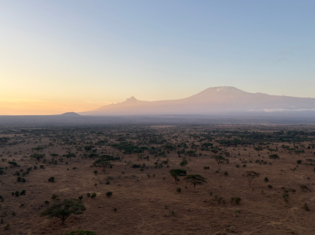 Kilimanjaro Balloon Safaris-安博塞利国家公园必去景点