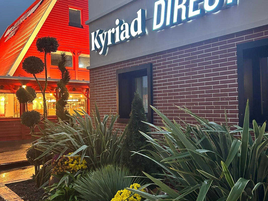 Hotel Kyriad Direct Orleans Nord - Saran主图