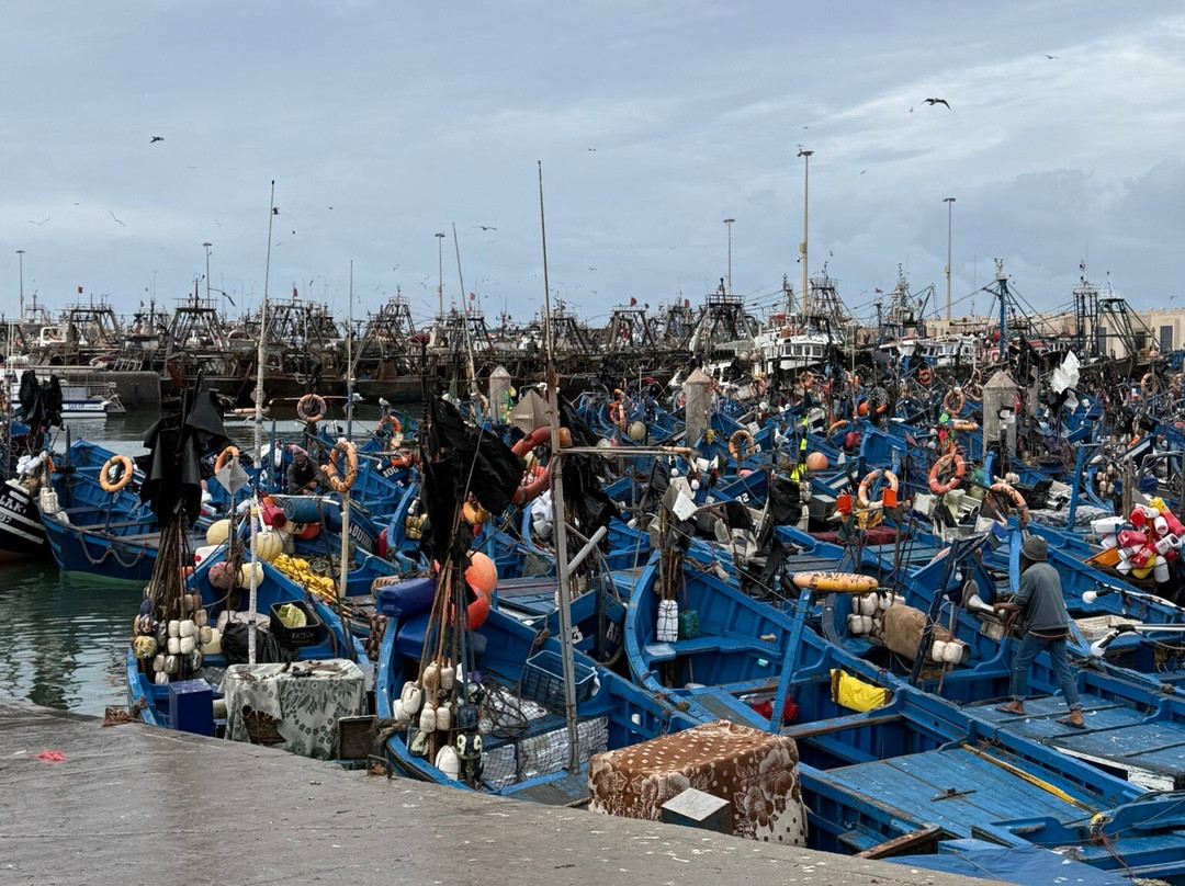 Authentic Morocco-马拉喀什必去景点
