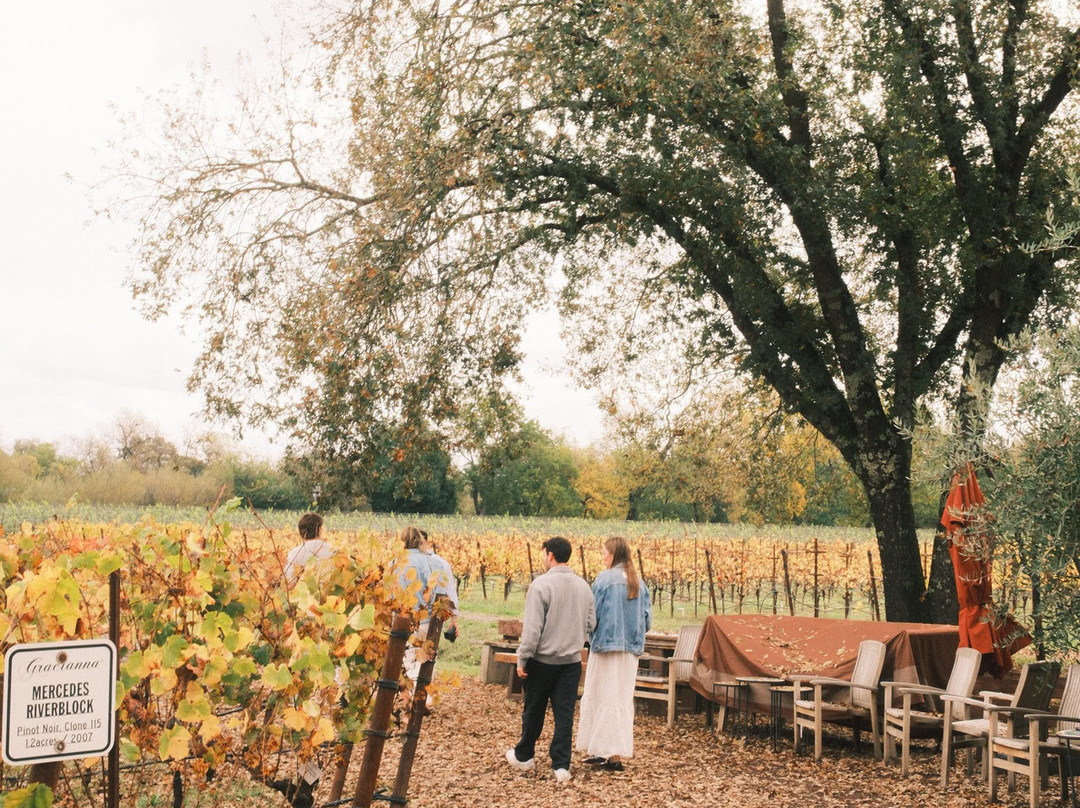 Gracianna Winery-希尔兹堡必去景点