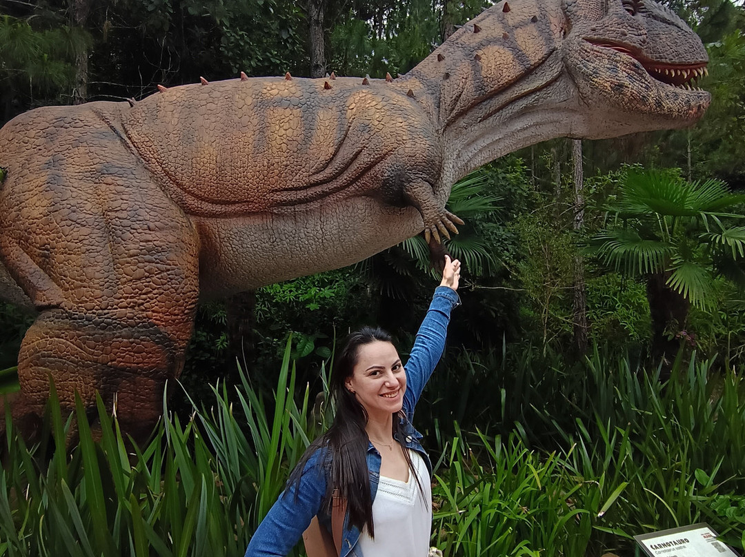 Aventura Jurássica-康泊琉海水浴场必去景点