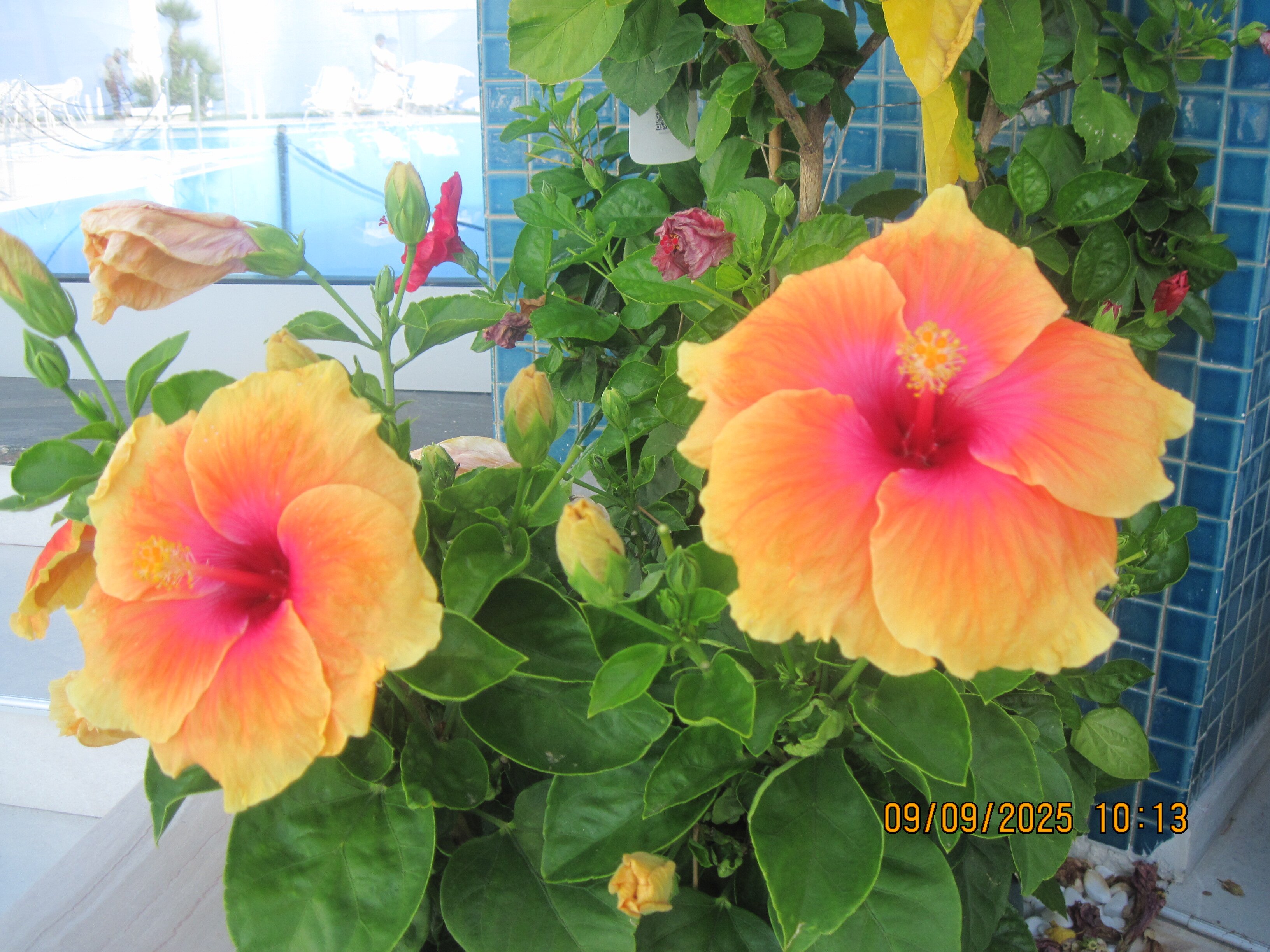 Hotel Poseidon-浴室