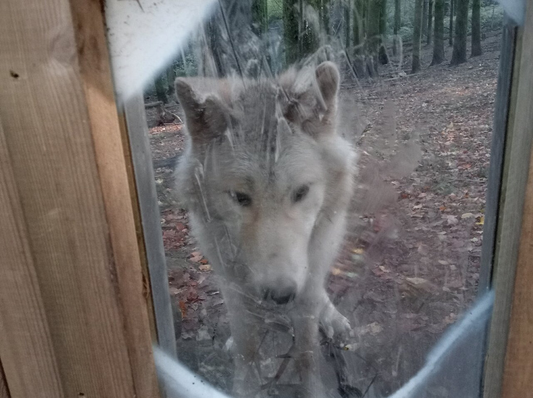 Loups de Chabrières-Gueret必去景点