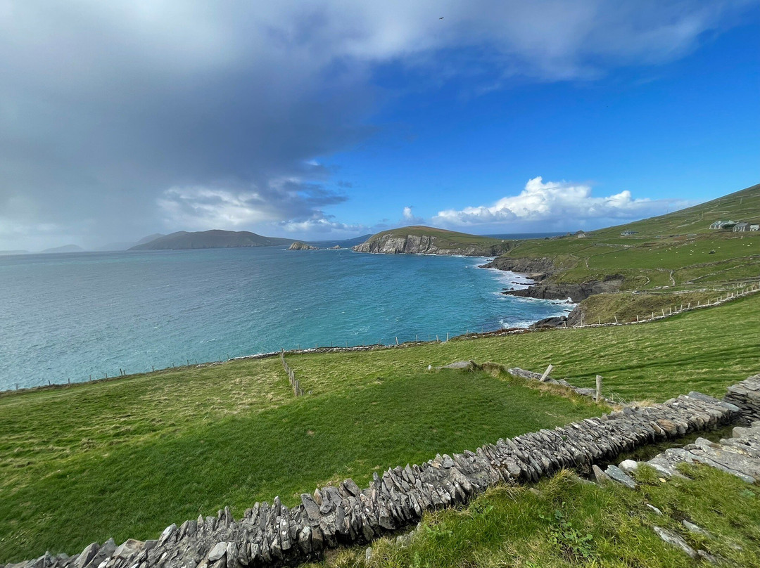 O'Callaghans Coaches & Chauffeur Services-基拉尼必去景点