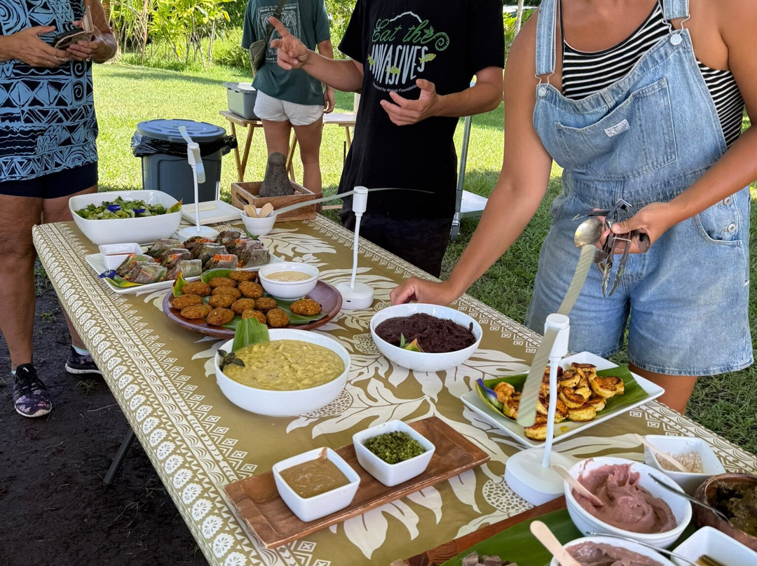 Waipa Foundation-哈纳雷伊必去景点