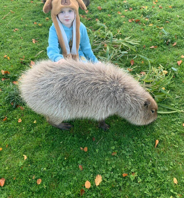 Secret Valley Wildlife Park-韦克斯福德必去景点