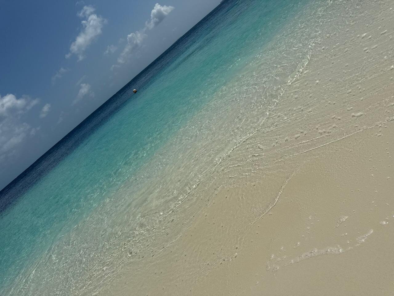 Emerald Maldives Resort & Spa-泳池