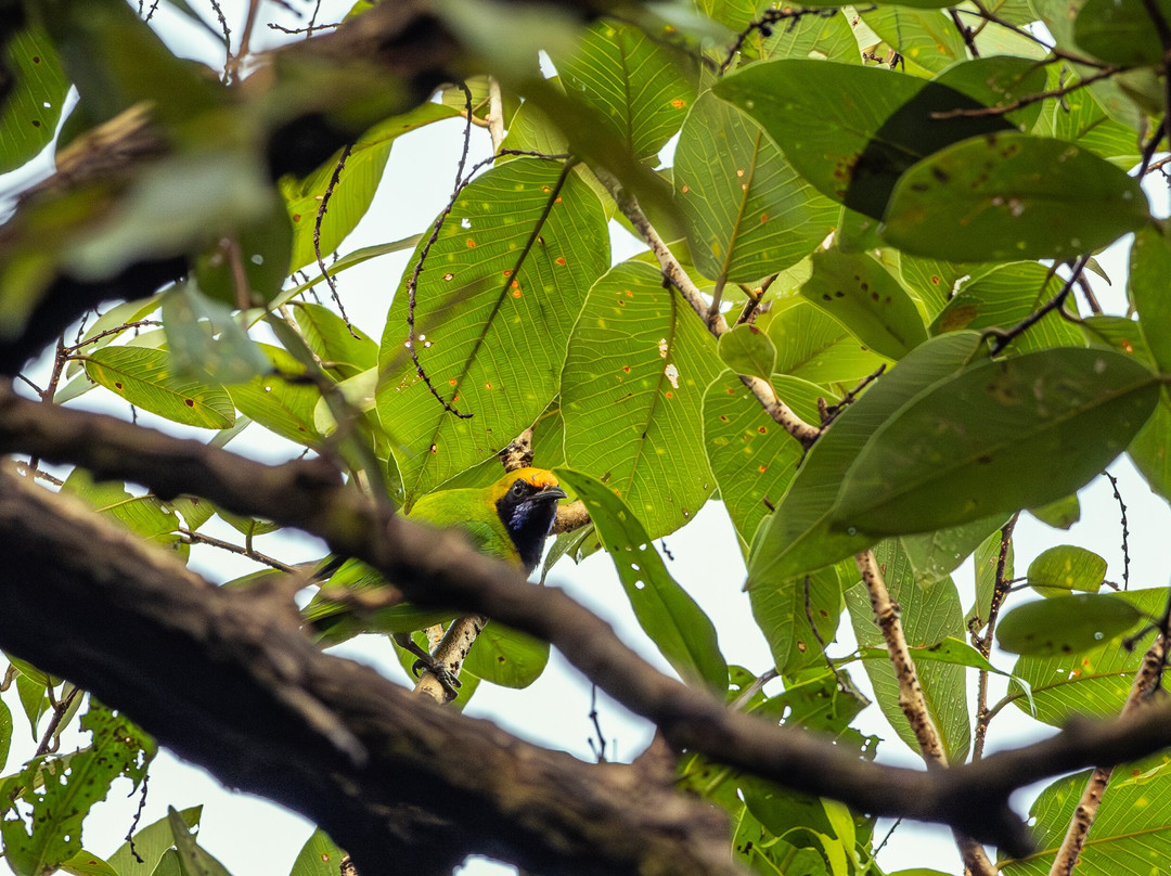 Jungle Buddies Tours-孟买必去景点