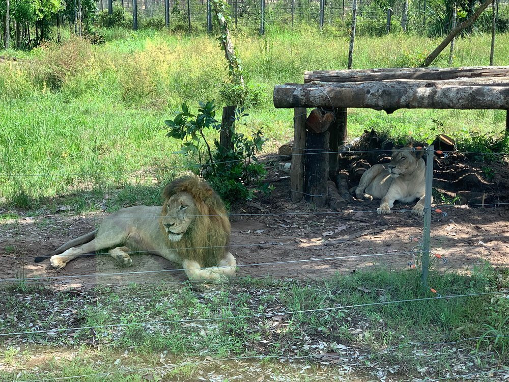 珍珠王国野生动物园-富国岛必去景点