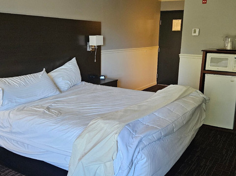 纳托马旅店主图