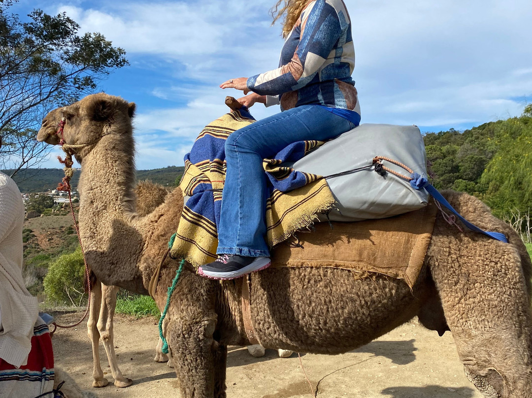 加利福尼亚酒店主图