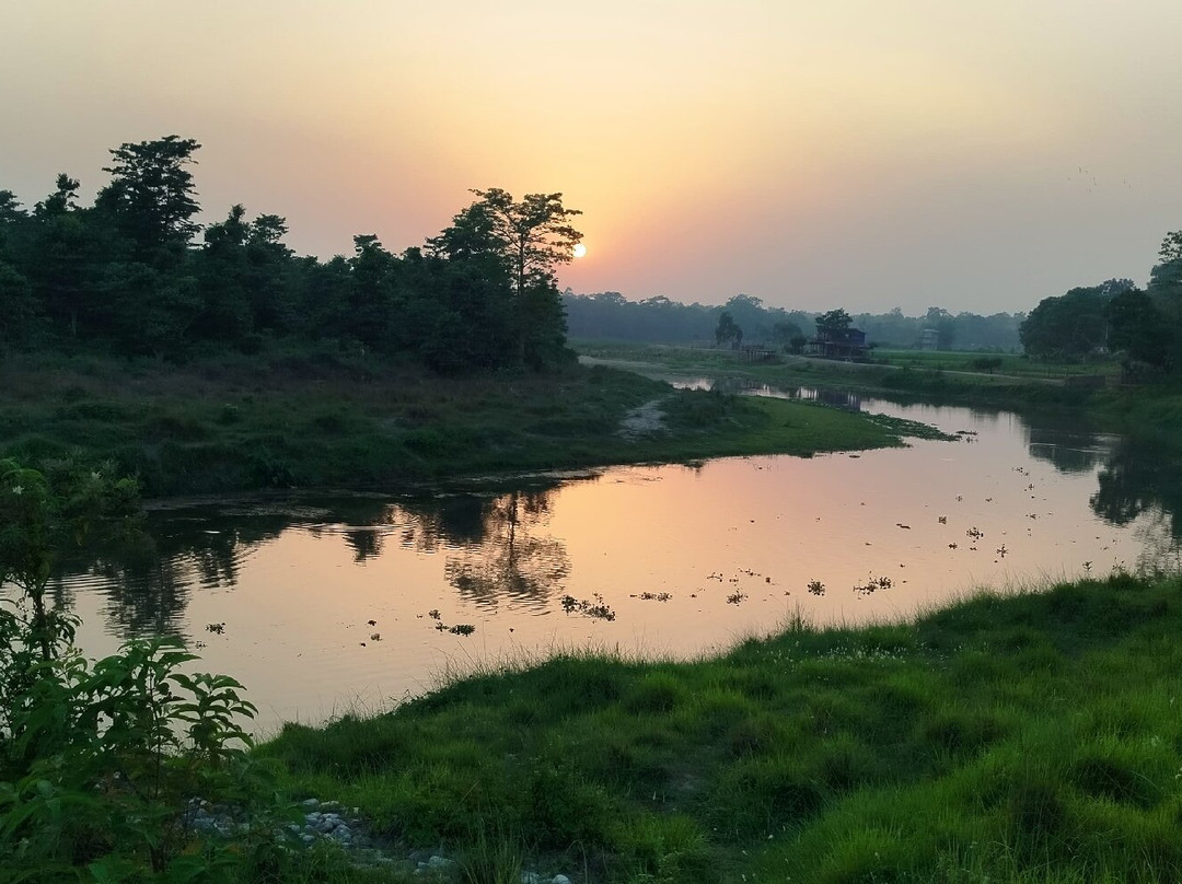 Jungle Expert Treks and Tours-Ratnanagar必去景点