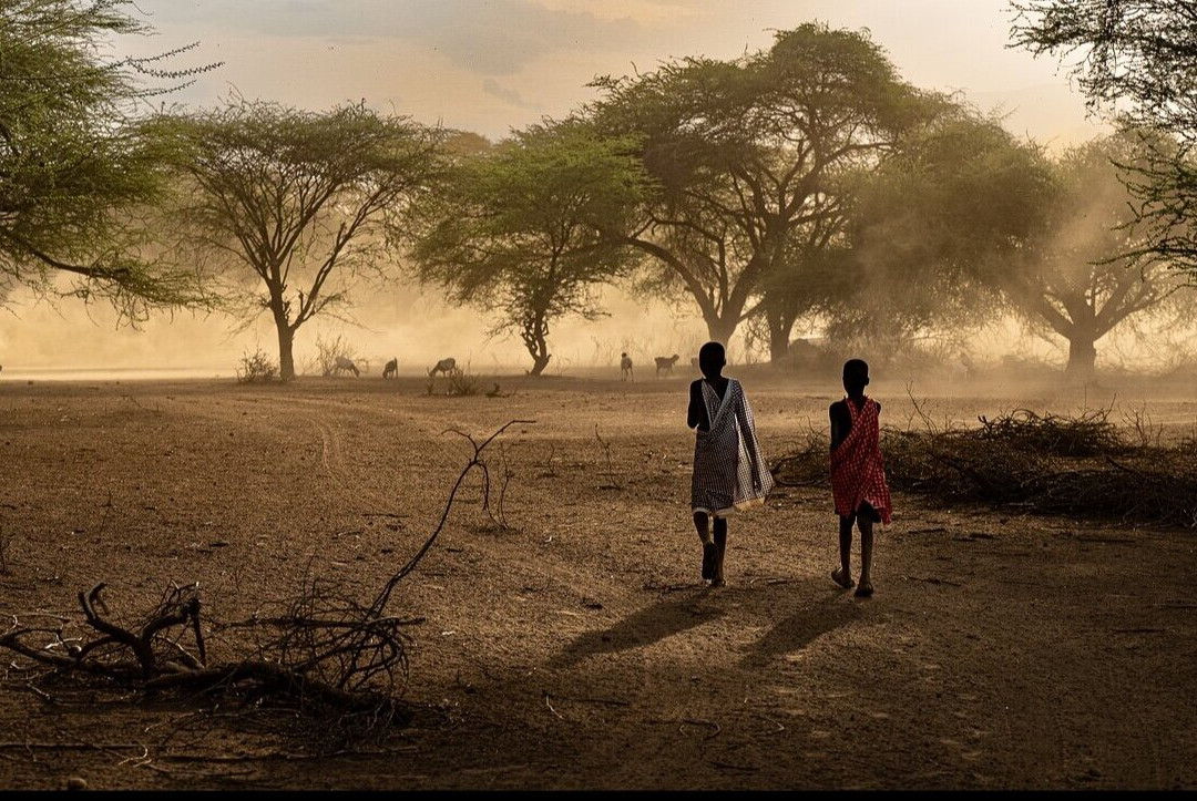 Wild Eye-弗维斯必去景点