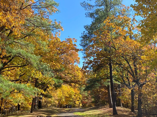 Iroquois Park-路易斯维尔必去景点