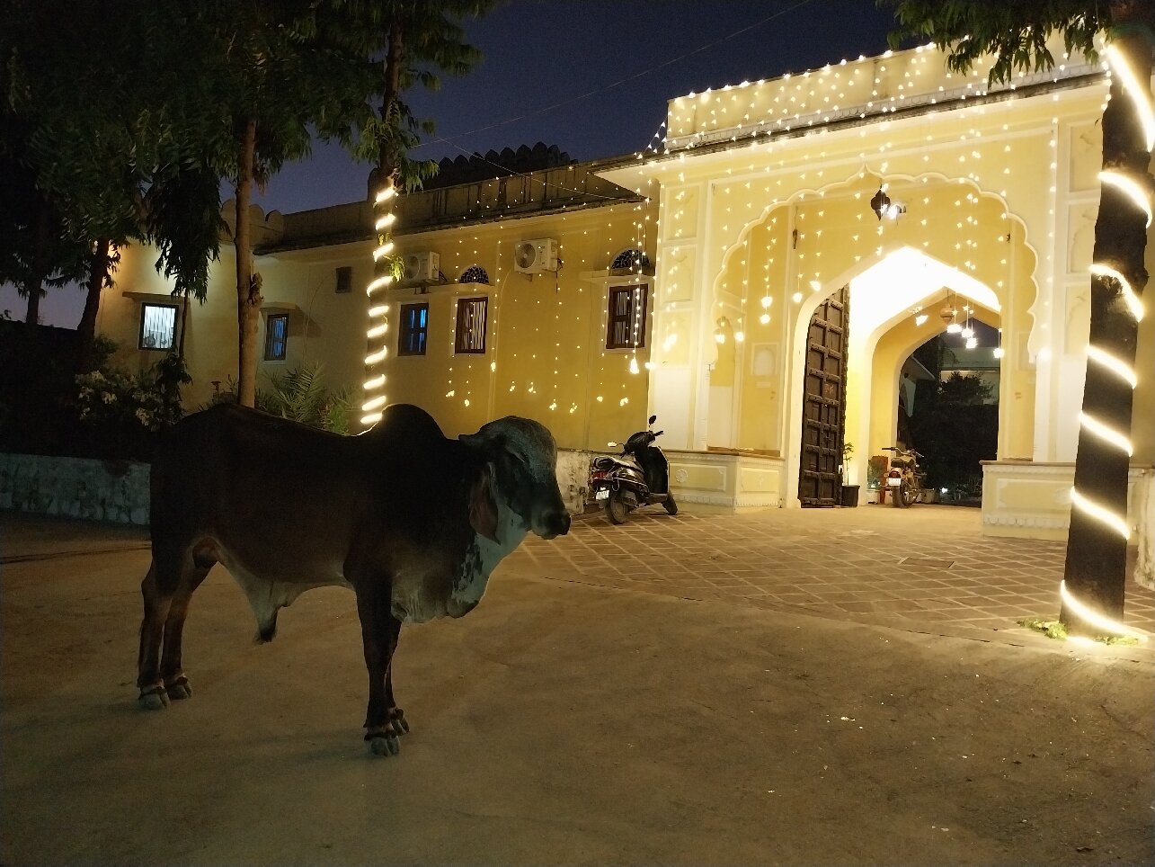 Fort Chabariya-官方