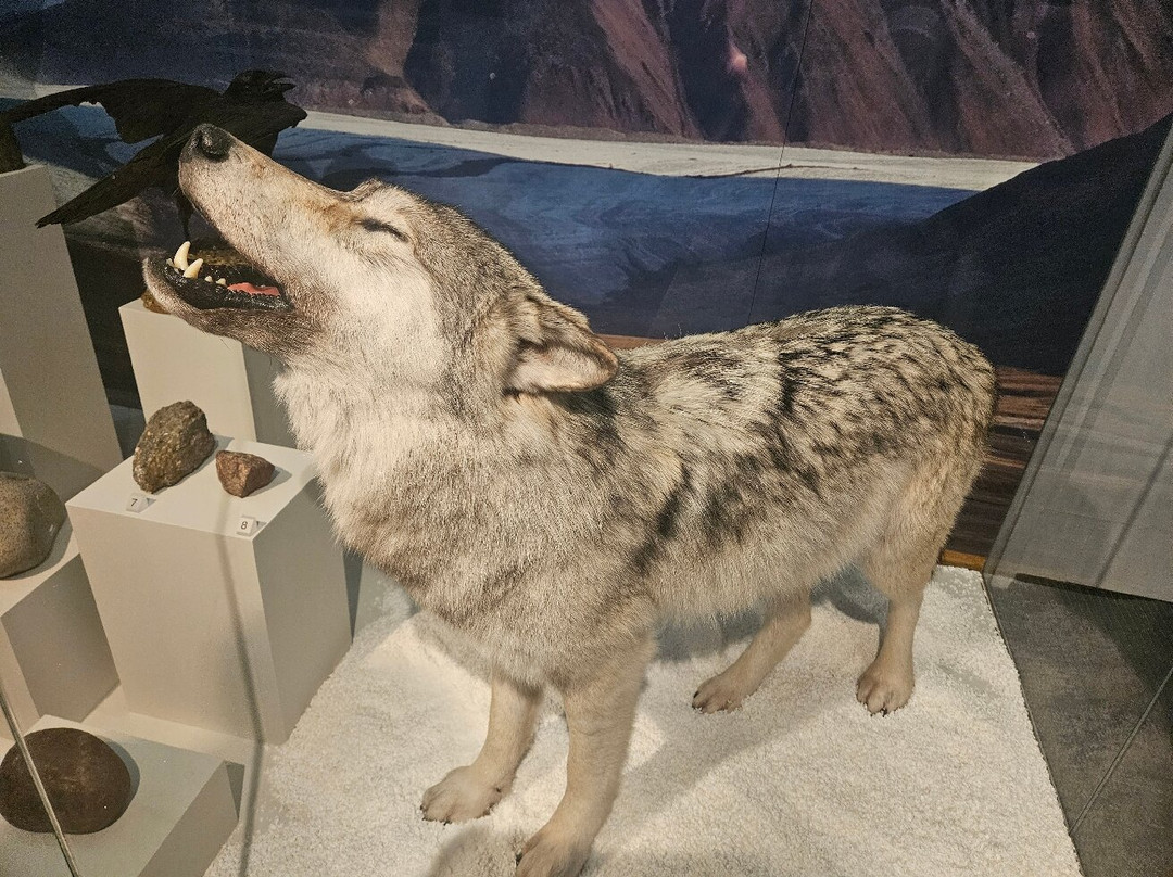 阿尔斯特博物馆-贝尔法斯特必去景点