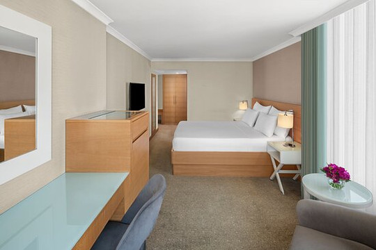 伊斯坦布尔德德曼酒店主图