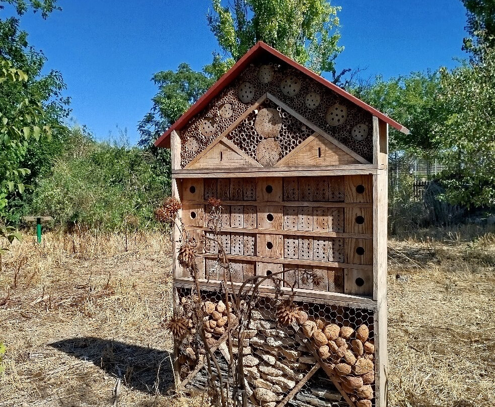 Jardin Botanico de Castilla-La Mancha-阿尔瓦塞特必去景点