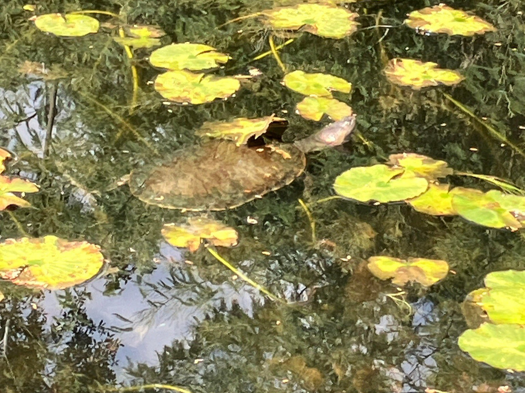 A Cupulatta-Ucciani必去景点