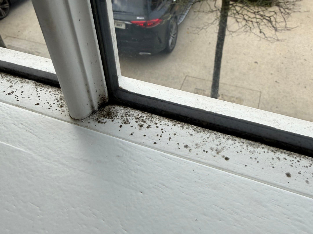 Cashel Palace Hotel主图