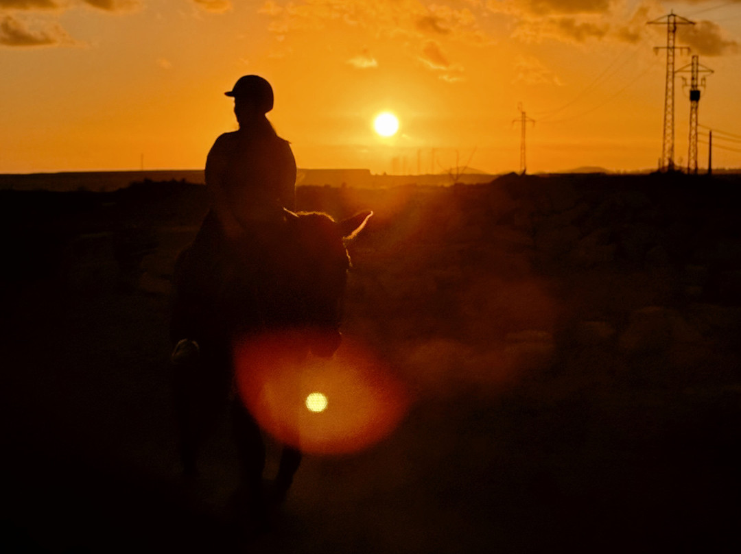 Hipica Cuadras El Medano-El Medano必去景点
