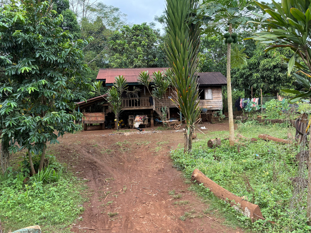 Miss Noy Motorbike-百细必去景点