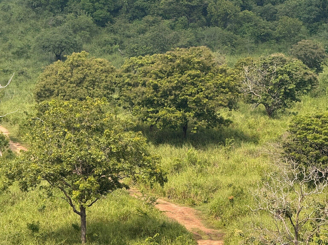Jeep Safari With Gayan-锡吉里亚必去景点