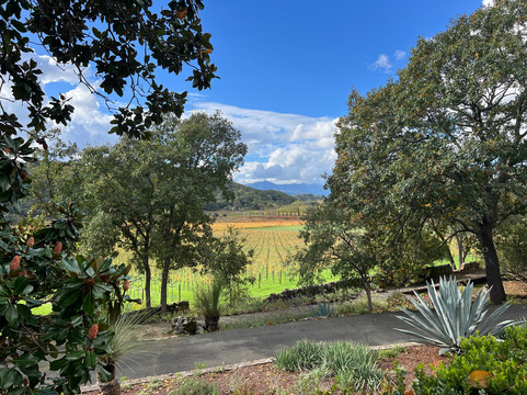 Stags' Leap Winery-纳帕必去景点