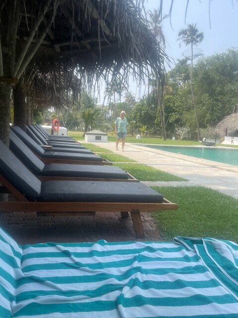 Marari Beach - CGH Earth-泳池